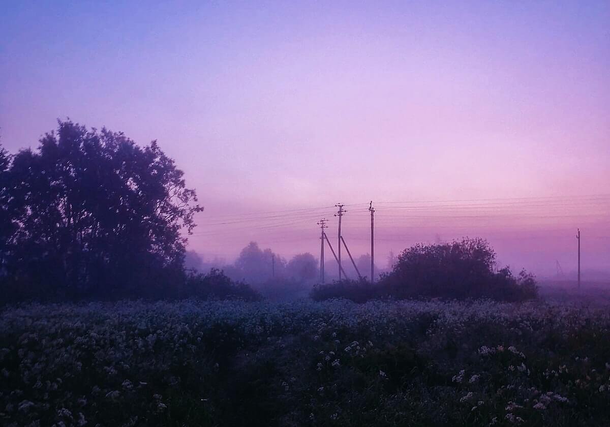 麻将胡了爆分-麦当劳“汉堡越做越小”? 博主测试:尺寸没变,可能是“曼德拉效应”